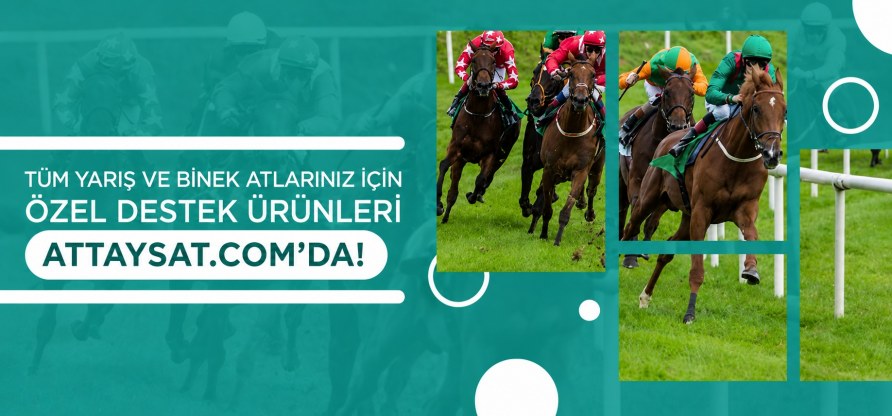 destek ürünleri