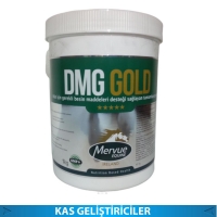 DMG GOLD 1 KG ( KAS GELİŞTİRİCİLER )