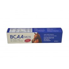 N-ACTIVE BCAA PASTE 60 ML 