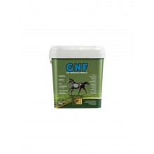 GNF 3 KG 