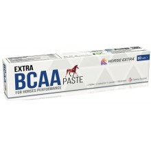EXTRA BCAA PASTE 