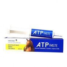 N-ACTIVE ATP PASTE 60 ML 