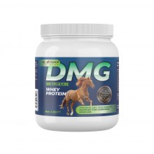 EQ FORCE DMG 1 KG 