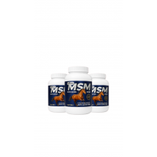 EQ FORCE MSM 1 KG 