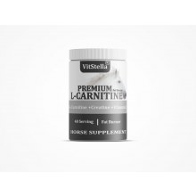 VİTSTELLA L-CARNITINE 1 KG 