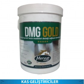 Kalp ve Dolaşım Sistemi